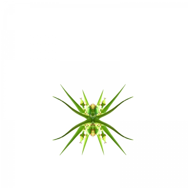 Creation of psychadelic plant: Step 3